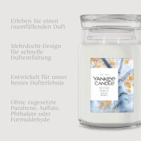 Yankee Candle Duftkerze im Glas (groß) SILVER BIRCH - Herbstkollektion - Signature Kerze mit Brenndauer bis zu 80 Stunden