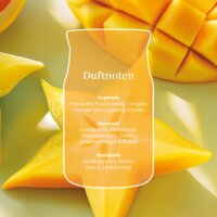 Yankee Candle Duftkerze im Glas (groß) STARFRUIT & SUNSHINE - Signature Kerze mit Brenndauer bis zu 80 Stunden