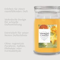 Yankee Candle Duftkerze im Glas (groß) STARFRUIT & SUNSHINE - Signature Kerze mit Brenndauer bis zu 80 Stunden