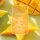 Yankee Candle Duftkerze im Glas (groß) STARFRUIT & SUNSHINE - Signature Kerze mit Brenndauer bis zu 80 Stunden