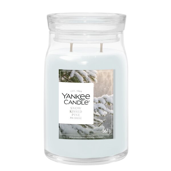 Yankee Candle Duftkerze im Glas (groß) SNOW KISSED PINE - Winterkollektion - Signature Kerze mit Brenndauer bis zu 80 Stunden