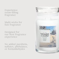 Yankee Candle Duftkerze im Glas (groß) WINTER WALK - Limited Edition - Signature Kerze mit Brenndauer bis zu 80 Stunden