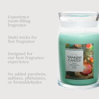 Yankee Candle Duftkerze im Glas (groß) TREE TRIMMING - Limited Edition - Signature Kerze mit Brenndauer bis zu 80 Stunden