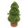 Kissen Weihnachtsbaum Tannenbaum 28 cm aus Plüsch -  Dekokissen Weihnachten, Plüschtier, Kuschelkissen, Plüschkissen, Dekoration Wohnzimmer